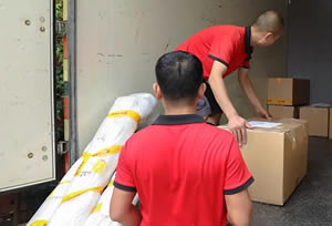 �żҽ糤;���