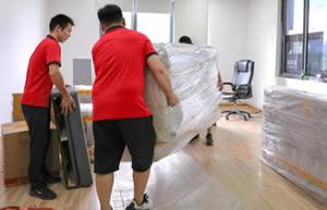 �żҽ繫˾���